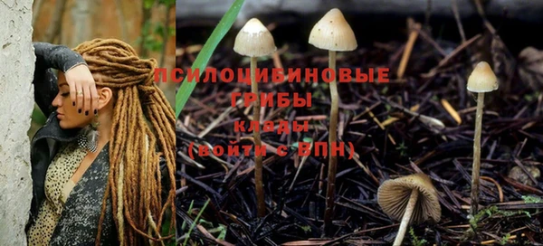 гашик Наволоки